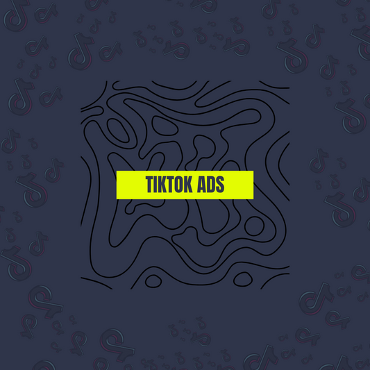 TikTok Ads in South Africa